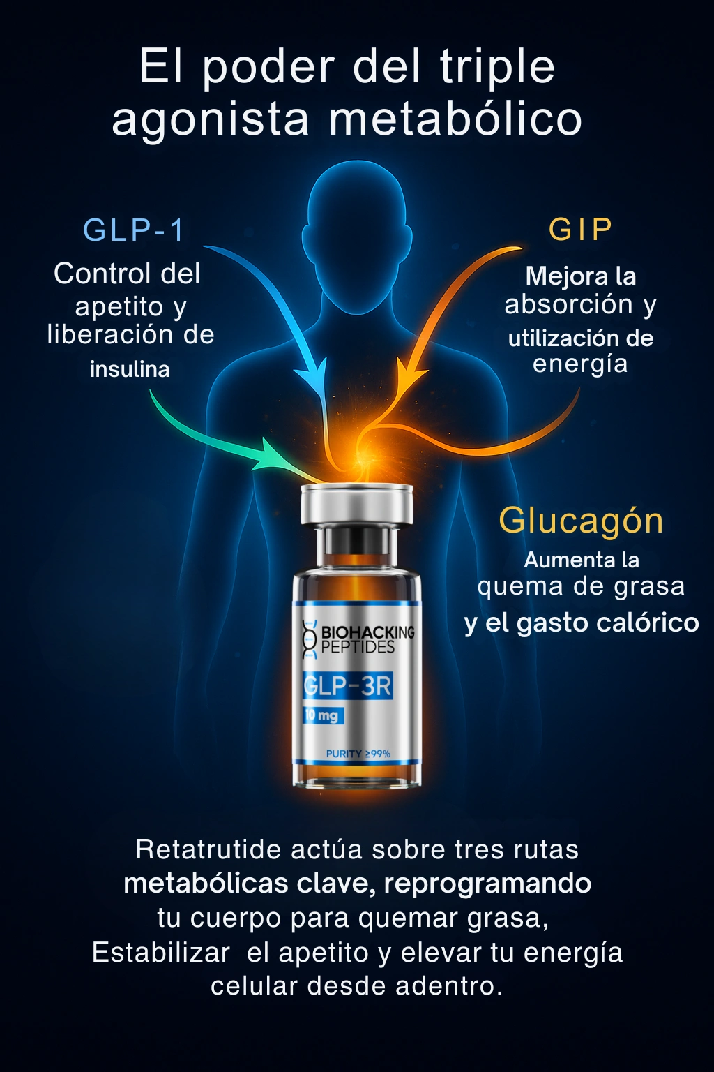 El poder del triple agonista metabólico